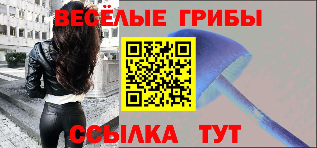 Галлюциногенные грибы Cubensis Ахтубинск